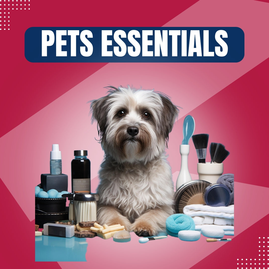 Pet Accessories